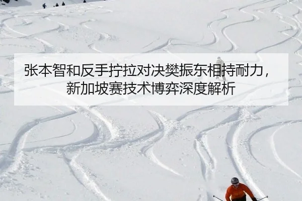 张本智和反手拧拉对决樊振东相持耐力，新加坡赛技术博弈深度解析